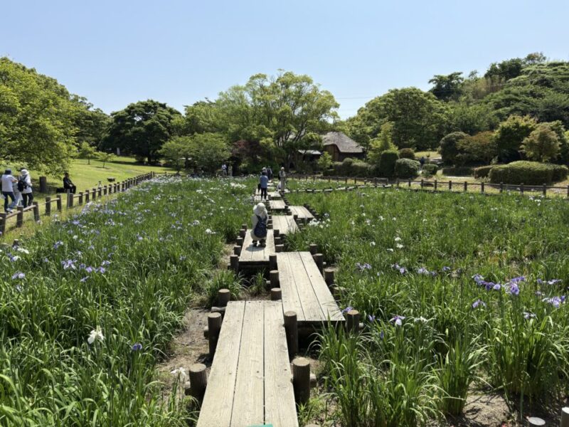 江戸菖蒲苑