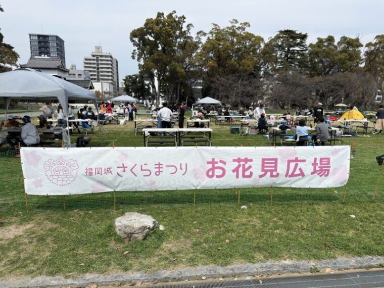 お花見広場