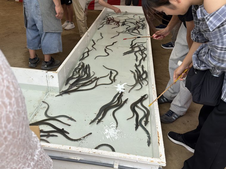うなぎ釣り